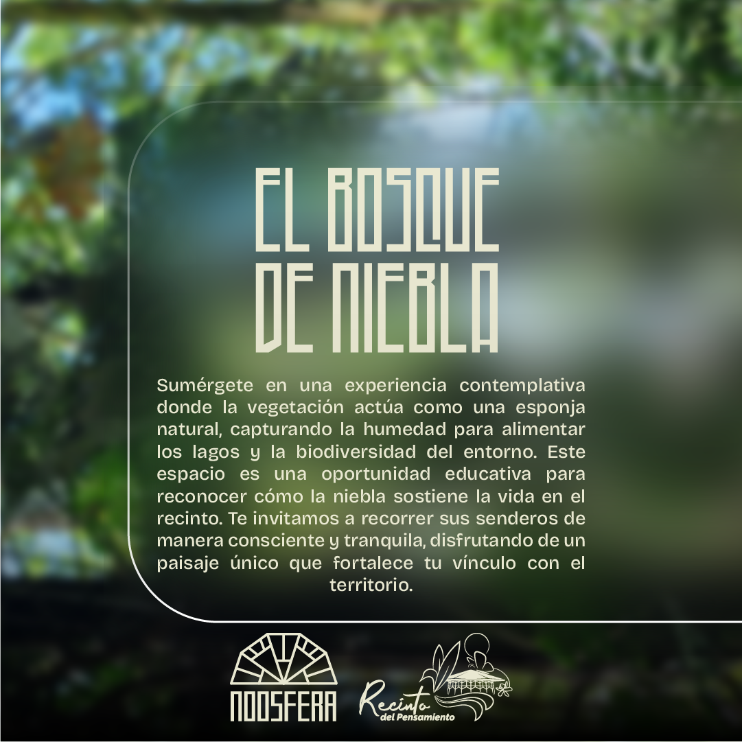 Post redes 1